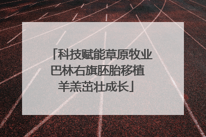 科技赋能草原牧业 巴林右旗胚胎移植羊羔茁壮成长