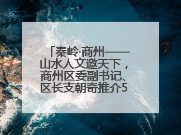 秦岭·商州——山水人文邀天下，商州区委副书记、区长支朝奇推介5个重点招商项目