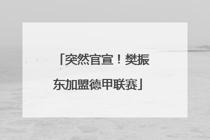 突然官宣！樊振东加盟德甲联赛