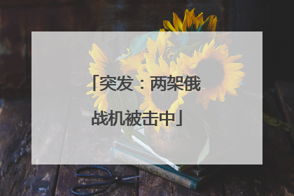 突发：两架俄战机被击中