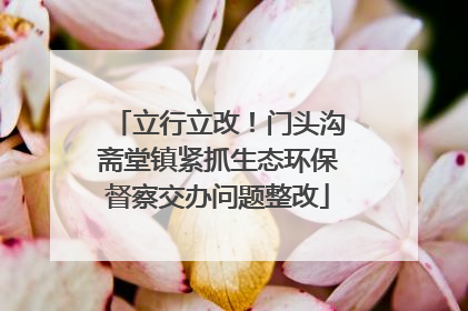 立行立改！门头沟斋堂镇紧抓生态环保督察交办问题整改