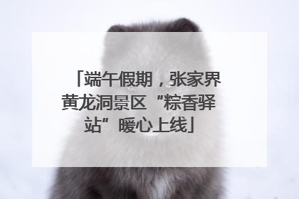 端午假期，张家界黄龙洞景区“粽香驿站”暖心上线