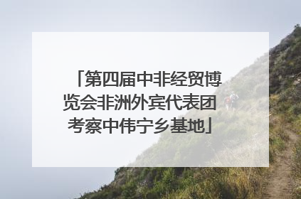 第四届中非经贸博览会非洲外宾代表团考察中伟宁乡基地