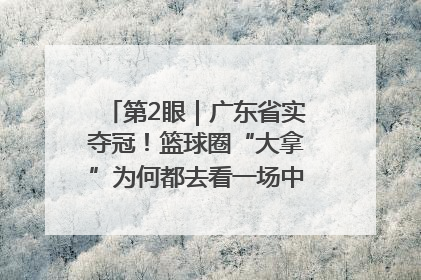 第2眼｜广东省实夺冠！篮球圈“大拿”为何都去看一场中学生比赛？