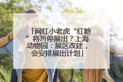 网红小老虎“红糖”将暂停展出？上海动物园：展区改建，会安排展出计划