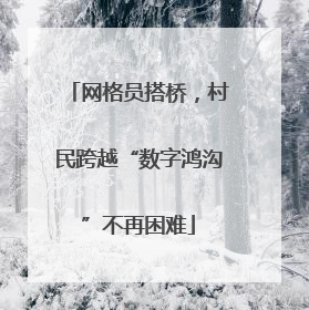网格员搭桥，村民跨越“数字鸿沟”不再困难
