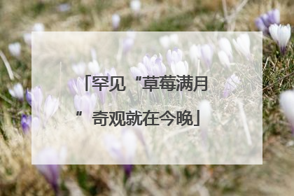 罕见“草莓满月”奇观就在今晚