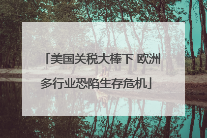 美国关税大棒下 欧洲多行业恐陷生存危机