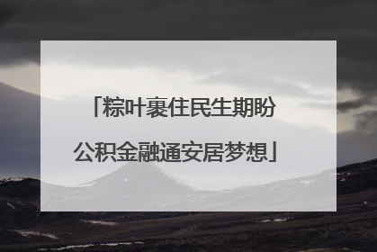 粽叶裹住民生期盼 公积金融通安居梦想
