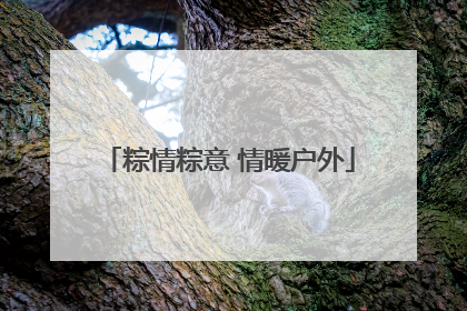 粽情粽意 情暖户外