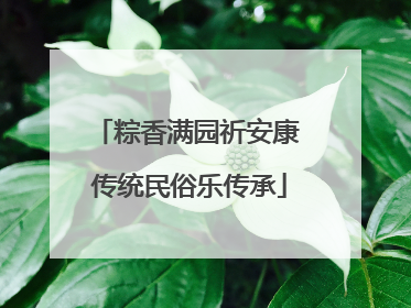 粽香满园祈安康 传统民俗乐传承