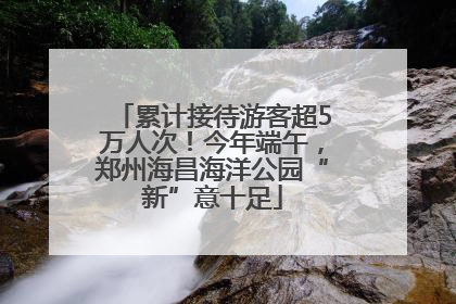 累计接待游客超5万人次！今年端午，郑州海昌海洋公园“新”意十足