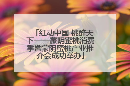 红动中国 桃醉天下——蒙阴蜜桃消费季暨蒙阴蜜桃产业推介会成功举办