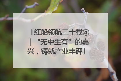 红船领航二十载④｜“无中生有”的嘉兴，铸就产业丰碑