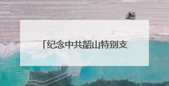 纪念中共韶山特别支部成立100周年《堡垒》电影党课开课