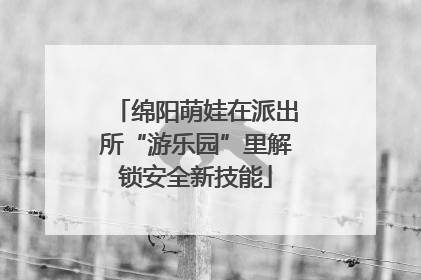 绵阳萌娃在派出所“游乐园”里解锁安全新技能