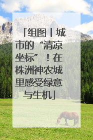 组图丨城市的“清凉坐标”！在株洲神农城里感受绿意与生机