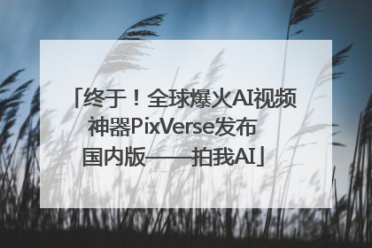 终于！全球爆火AI视频神器PixVerse发布国内版——拍我AI