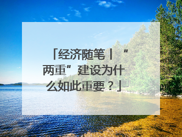 经济随笔丨“两重”建设为什么如此重要？