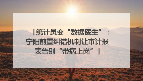统计员变“数据医生”：宁阳前置纠错机制让审计报表告别“带病上岗”