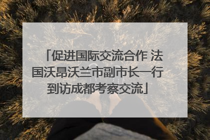 促进国际交流合作 法国沃昂沃兰市副市长一行到访成都考察交流