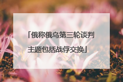 俄称俄乌第三轮谈判主题包括战俘交换
