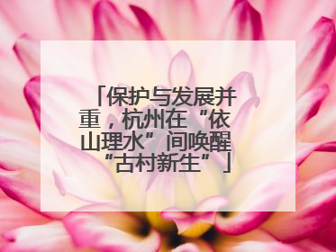 保护与发展并重，杭州在“依山理水”间唤醒“古村新生”