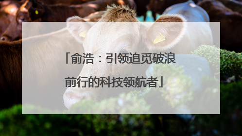 俞浩：引领追觅破浪前行的科技领航者