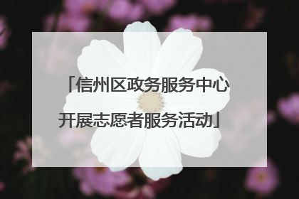 信州区政务服务中心开展志愿者服务活动