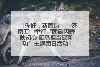 你好，新团员——济南五中举行“团徽闪耀映初心 挺膺担当建新功”主题团日活动