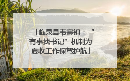 临泉县韦寨镇：“有事找书记”机制为夏收工作保驾护航