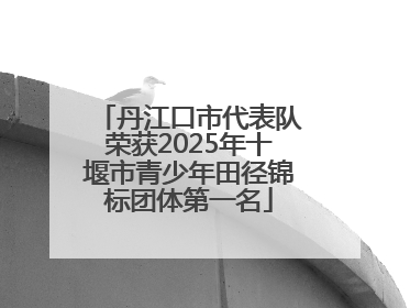 丹江口市代表队荣获2025年十堰市青少年田径锦标团体第一名