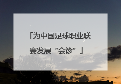 为中国足球职业联赛发展“会诊”