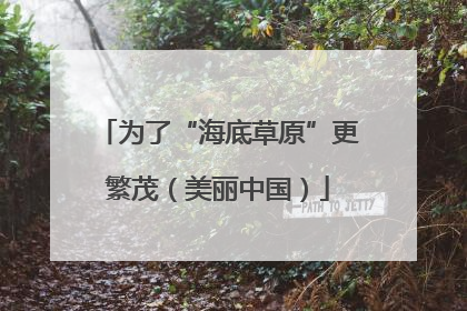 为了“海底草原”更繁茂（美丽中国）