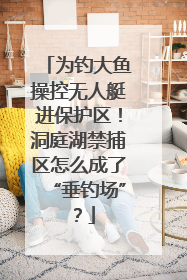 为钓大鱼操控无人艇进保护区！洞庭湖禁捕区怎么成了“垂钓场”？
