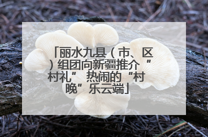 丽水九县（市、区）组团向新疆推介“村礼” 热闹的“村晚”乐云端