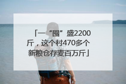 一“囤”盛2200斤，这个村470多个新粮仓存麦百万斤