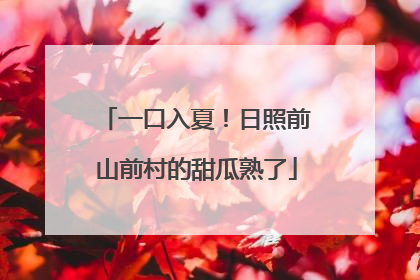 一口入夏！日照前山前村的甜瓜熟了