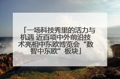 一场科技秀里的活力与机遇 近百项中外前沿技术亮相中东欧博览会“数智中东欧”板块