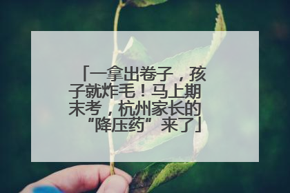 一拿出卷子，孩子就炸毛！马上期末考，杭州家长的“降压药”来了