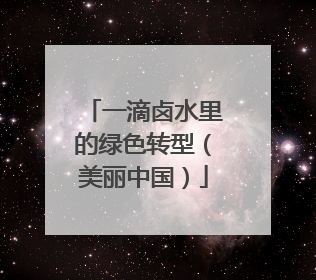 一滴卤水里的绿色转型（美丽中国）