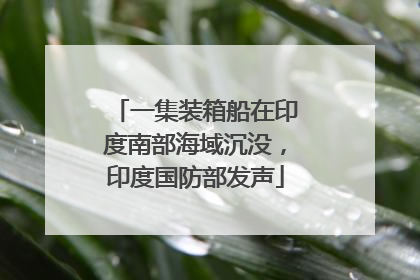 一集装箱船在印度南部海域沉没，印度国防部发声