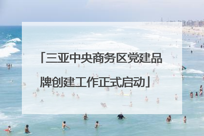 三亚中央商务区党建品牌创建工作正式启动