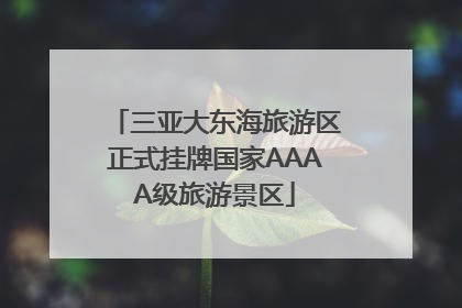 三亚大东海旅游区正式挂牌国家AAAA级旅游景区