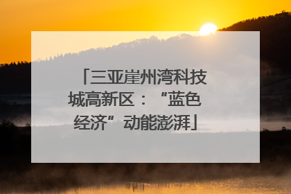 三亚崖州湾科技城高新区：“蓝色经济”动能澎湃