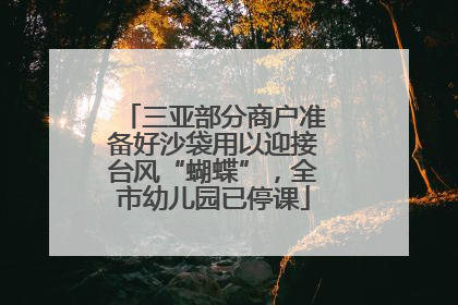 三亚部分商户准备好沙袋用以迎接台风“蝴蝶”，全市幼儿园已停课