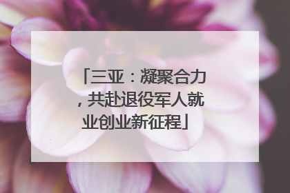 三亚：凝聚合力，共赴退役军人就业创业新征程