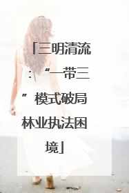 三明清流：“一带三”模式破局林业执法困境