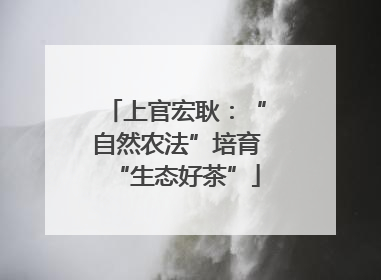 上官宏耿：“自然农法”培育“生态好茶”