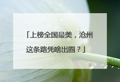 上榜全国最美，沧州这条路凭啥出圈？